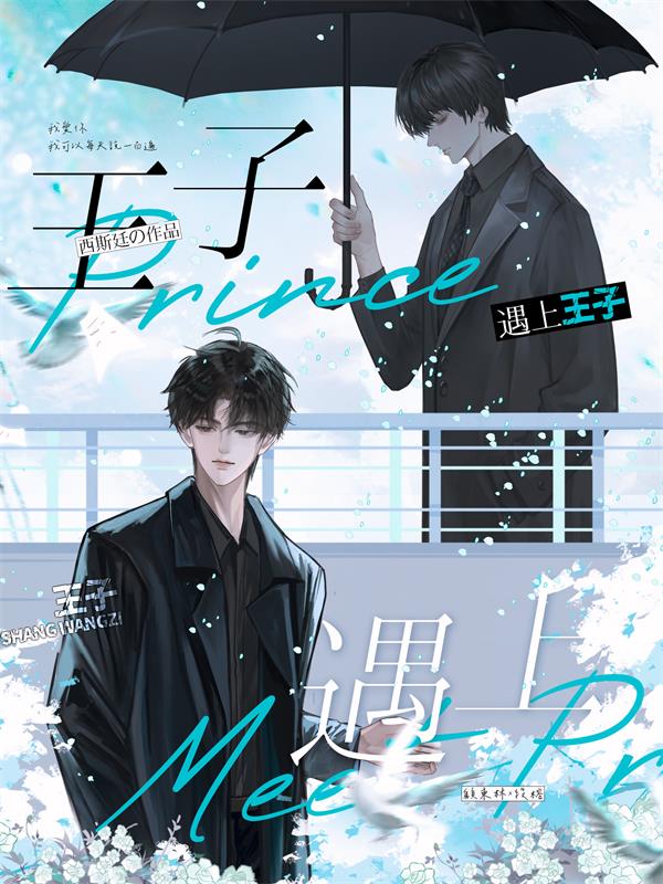 王子遇上王子